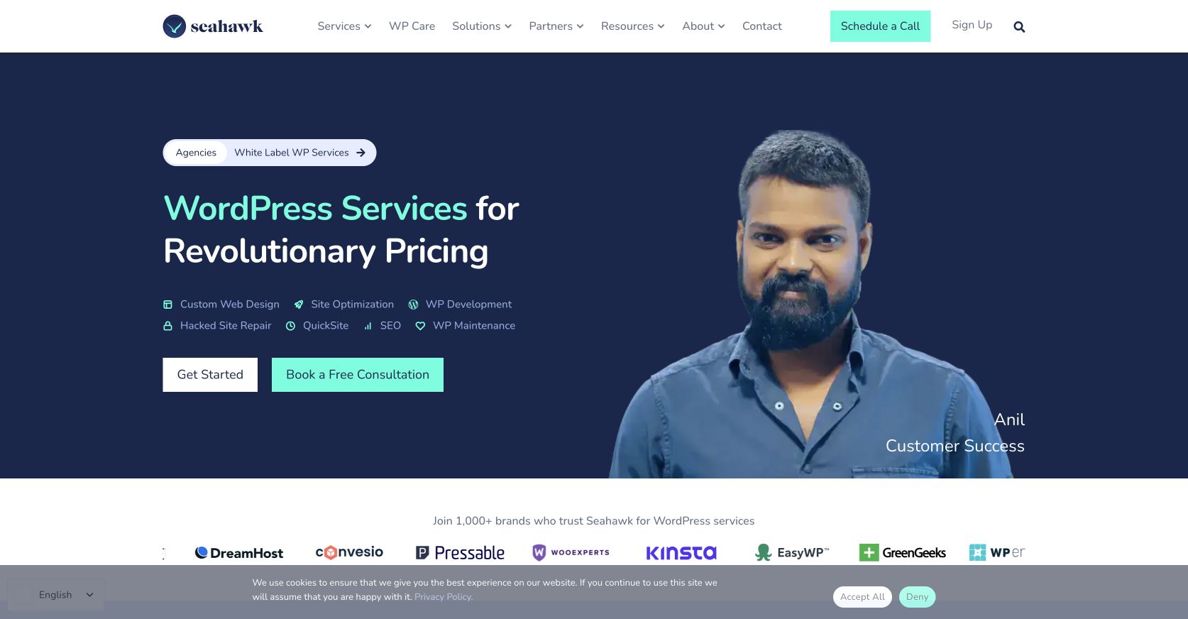 Seahawk Media WordPress services homepage
